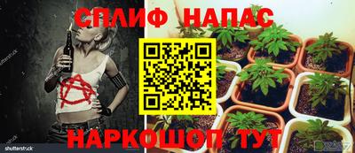 спайс Бийск