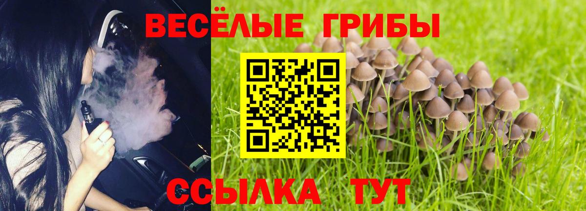 Псилоцибиновые грибы Magic Shrooms Тимашёвск