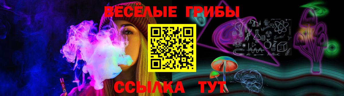 Тимашёвск  Псилоцибиновые грибы Psilocybine cubensis  наркота  Вход с VPN 